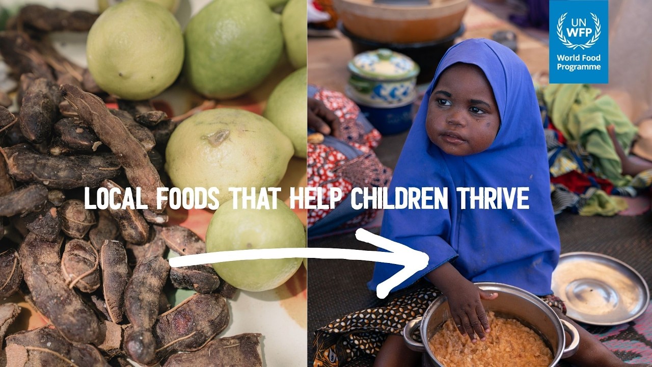 From Farm to Bowl: Small Ingredients, Big Impact