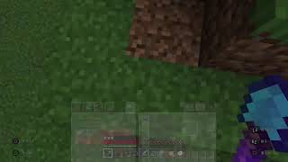 マイクラ