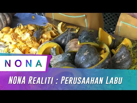 , title : 'Nona Realiti: Perusahaan Labu'
