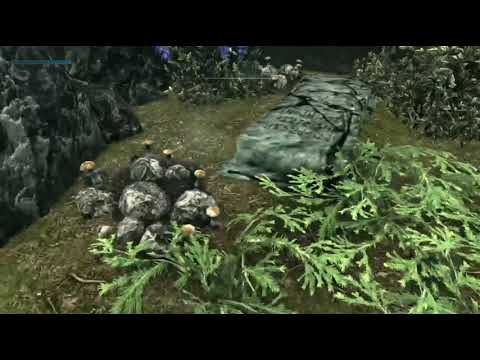 Skyrim: DBH Requiem mod