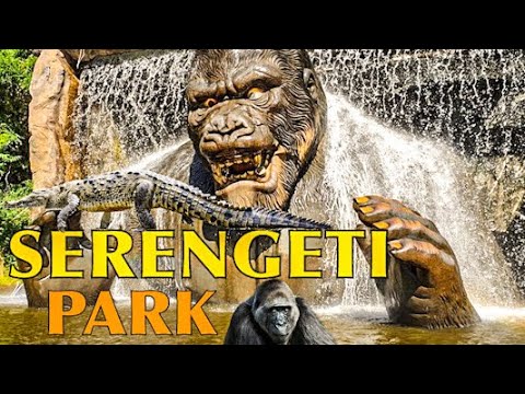 Serengeti Park Hodenhagen (Lüneburger Heide) mit viele Wildtieren und Achterbahnen - Roller Coaster