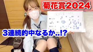 【菊花賞2024予想】3連続的中なるか…!? 本命•買い目公開‼︎