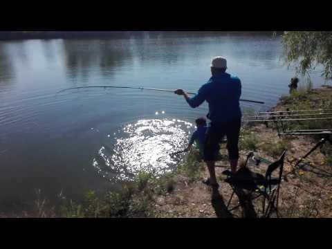 Ten prins pe balta Lfg Poenari