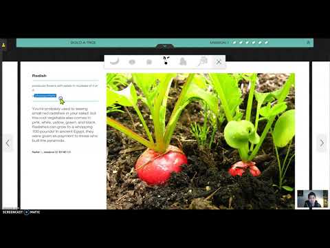 NOVA Lab: Mission 1 (Vegetarian Edition)