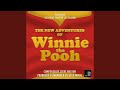 Pooh Bear From The New Adventures Of Winnie The Pooh