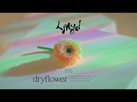 Video thumbnail for Dryflower