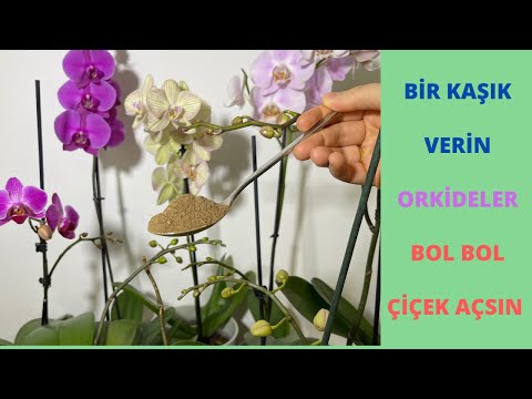 , title : 'Bir Kaşık Verin Orkideler Bol Çiçek Açıp Sağlıklı Kökler Versin/Orkide Coşturan Gübre'