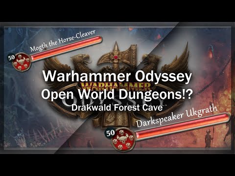 Warhammer Odyssey | Possible Open World Dungeon? (Drakwald Forest)