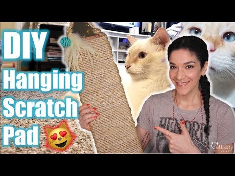 DIY NO COST Door Hanging Scratch Pad for cats!! 🙀😻 Is it Puppy & Alfred approved?