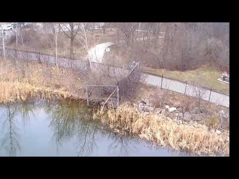 Professors Lake walk and fly(nice calm saturday)