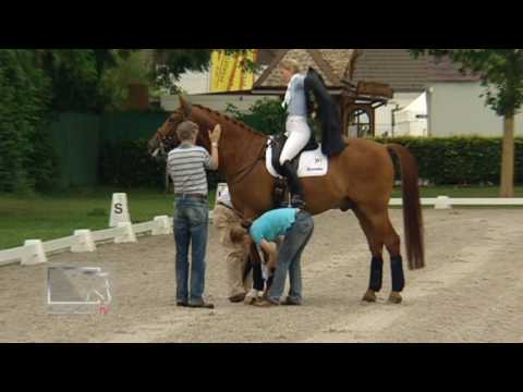 Impressionen Abreiteplatz CHIO Aachen 2010