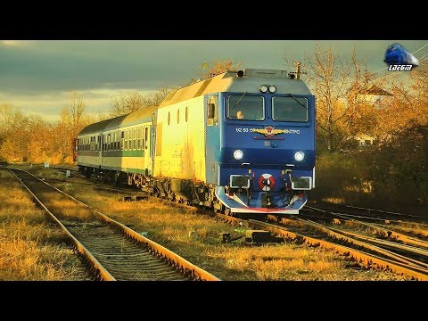 New Look Teodora~GM 64-1125-5 in Oradea [Autumn Edition] - 15 November 2018