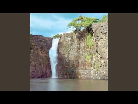 En la loza de mi tumba