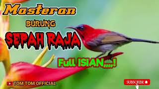 Download lagu MASTERAN Burung SEPAH RAJA,,,π#masteranburung #kicaumania #cendetmania #muraimania #cucakijo mp3 Download lagu MASTERAN Burung SEPAH RAJA,,,π#masteranburung #kicaumania #cendetmania #muraimania #cucakijo mp3