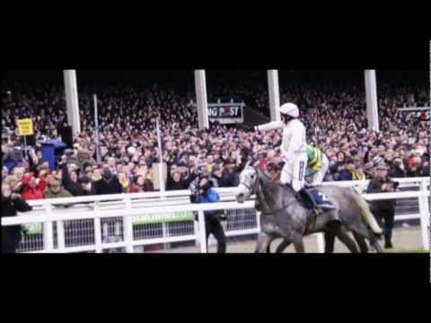 CHELTENHAM HIGHLIGHTS 2013