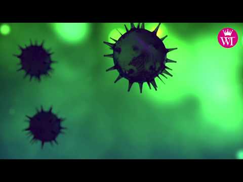 Dal paziente 1 ad oggi, il viaggio del coronavirus in Italia