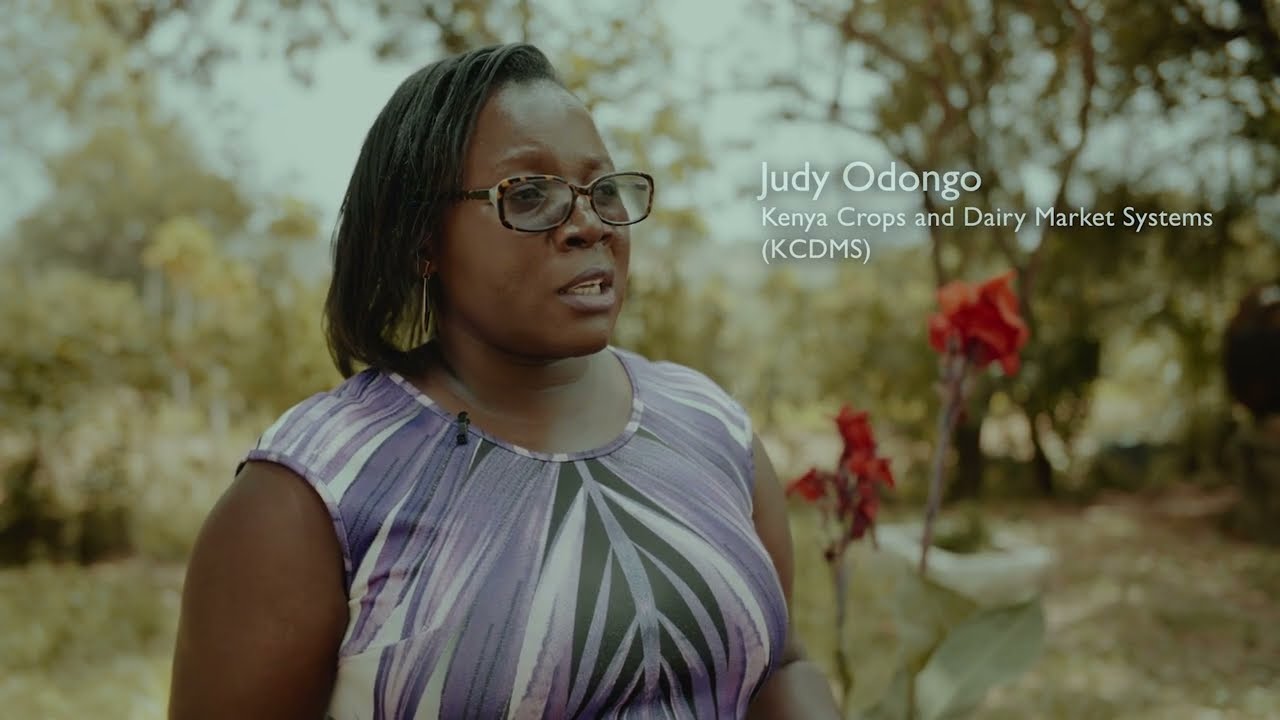 Preventing Food Loss in Kenya's Largest Mango Processing County