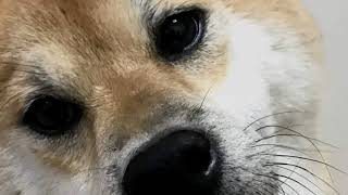 30代で虹の先端へ辿り着いた感動の壮大な物語
