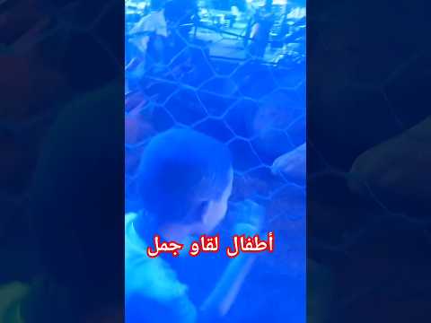 ayman and omayma #childrens #100 قرقيش لقاو جمل