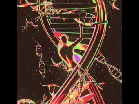 Yvngboi Nedd feat Badboy Carty - Appreciation