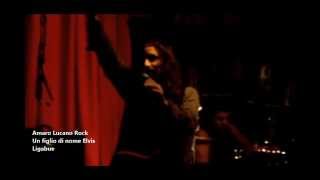 Amaro Lucano Rock -  Un Figlio di nome Elvis - Ligabue