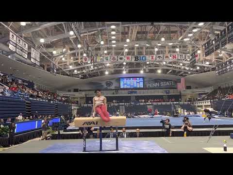 Asher Hong Pommel Horse - at NCAA Qualifier 230414