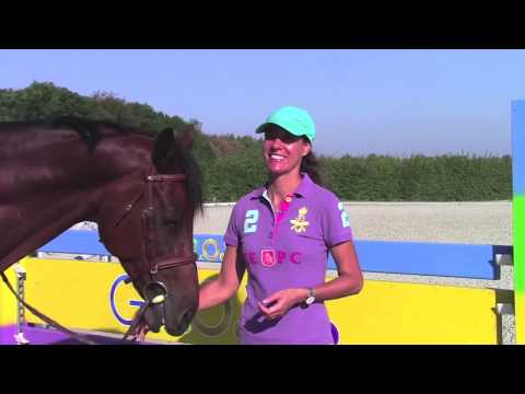 Luciana Diniz - Butterfly Exercises