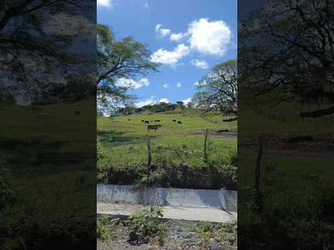 Honduras San Luis de Lajas Catacamas Olancho #carlossierrahn #automobile #rutasypaisajes