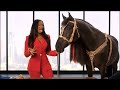 2024 Paris Olympics Thee Paris Olympics NBC Commercial 2023 Featuring Megan Thee Stallion