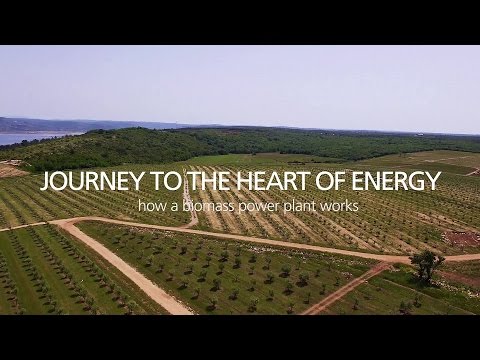 image-Is biomass a reliable source of energy?