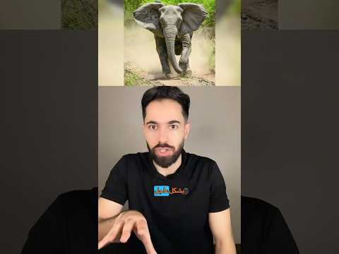 فيل مطلوب للعدالة بالهند😳😱