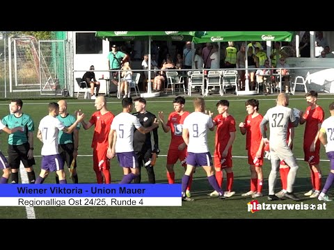 Highlights Wiener Viktoria - Union Mauer, Regionalliga Ost 24/25