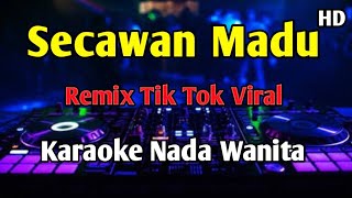 Download lagu SECAWAN MADU - KARAOKE Remix Tik Tok Viral  mp3