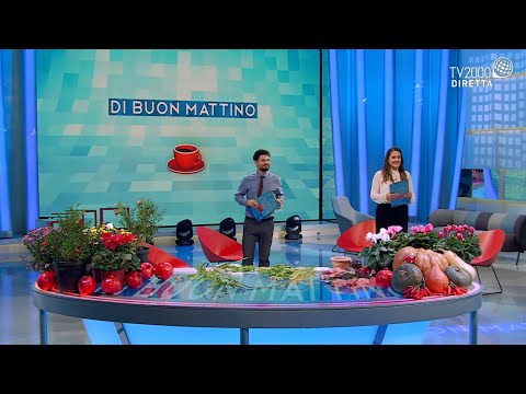 Di Buon Mattino - puntata del 12 ottobre 2021