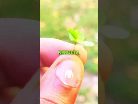 PRACTICE THIS every single day 🍀- Dr. Joe Dispenza