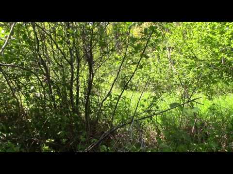 galgo rescue: pointed of view of the wanted person -"Hey... you 're the one I'm looking for!"