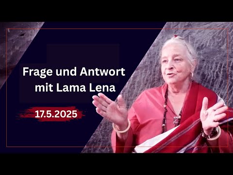 Frage und Antwort mit Lama Lena 5/2025
