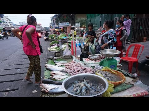 Amazing Evening Street Food at Phsa Kandal - Walking Around Street Food @Kandal Market