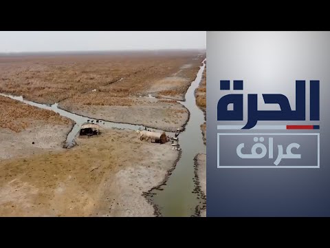 شاهد بالفيديو.. البصرة.. احتجاجات بسبب شح المياه
