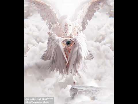 Video thumbnail 411UW4egwfg