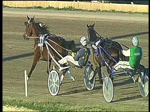 Trotto 04/03/2016 - 5° corsa