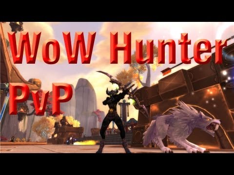 World of Warcraft PvP - 90 BM Hunter Battlegrounds #4 Warsong Gulch 12-0
