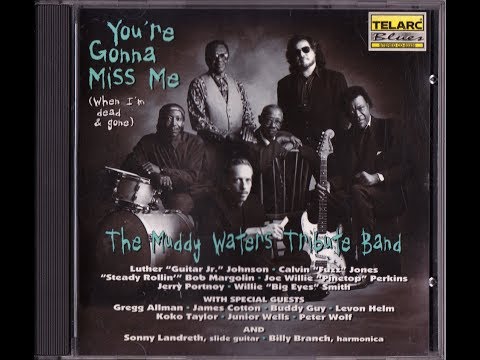 THE MUDDY WATERS TRIBUTE BAND - GOING TO MAIN STREET (vo : LEVON HELM)