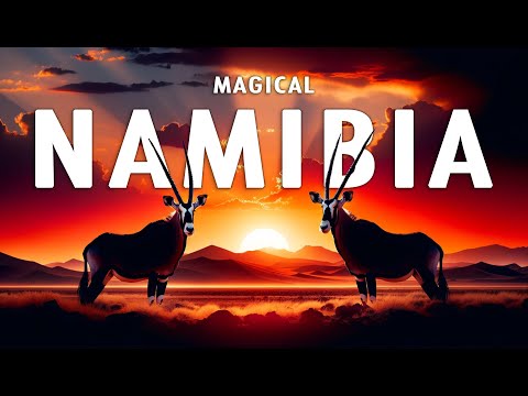 MAGICAL NAMIBIA | The Amazing Wildlife of Namibia Full Documentary
