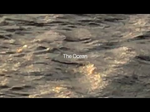 Video thumbnail for The Ocean