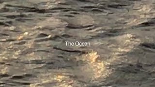 Download lagu Lontalius & Singular Balance - The Ocean mp3