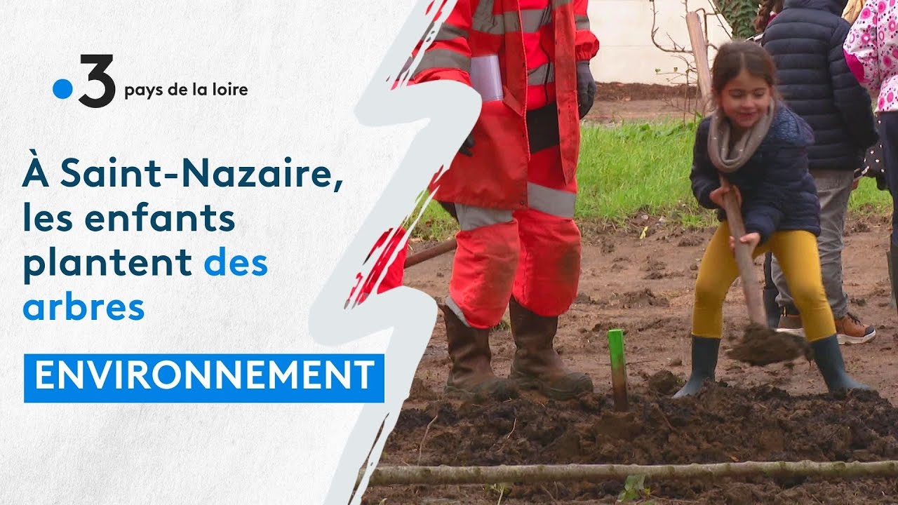 Environnement. Les enfants plantent des arbres à Saint-Nazaire