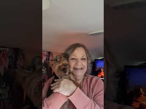 Campfire Girls Introduction