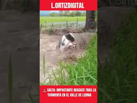Rescate al límite en Salta: el auto fue arrastrado por la tormenta 🚨🌊