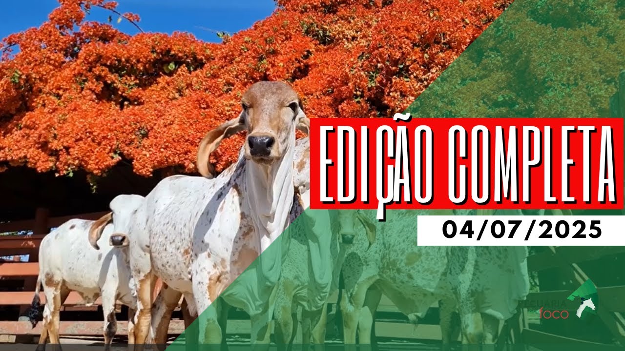 PECUÁRIA EM FOCO - EDIÇÃO COMPLETA - 04/07/2025